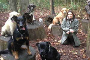 balade chien foret domanial