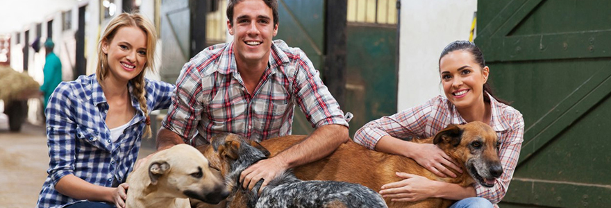 Conseils et recommandations pour les eleveurs de chiens
