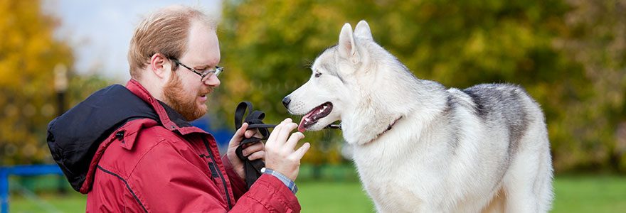 Améliorer votre relation avec votre animal grâce à un éducateur canin à Toulouse
